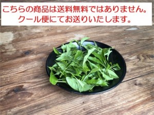 小林様専用　茶葉300g